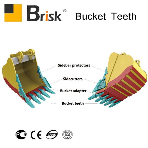 Bucket teeth