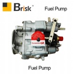EX200 Fuel pump