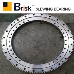 EX200 Swing bearing